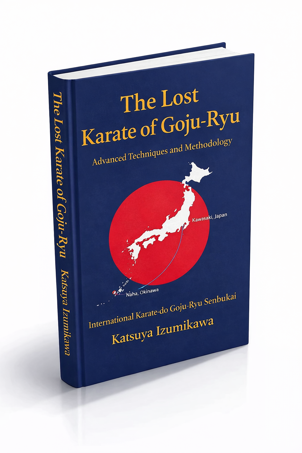 The lost karate of Goju-Ryu 3D Final