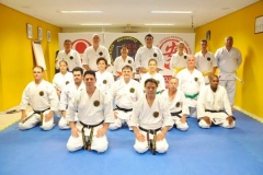 Karate-adulto