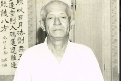 Ryu – INTERNATIONAL KARATEDO GOJURYU SENBUKAI